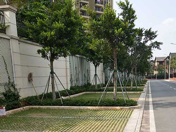 植草磚廠家